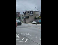 Group of geese cross busy street together 