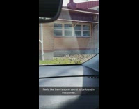 Wind make dried leaves spin in the corner