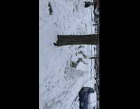 Multiple snowmen in front of house 