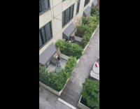 Girl jeans booty shot grey chair bushes