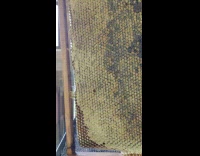 Special fork used to uncap honeycomb frames