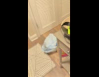 SUBMITTED FIRST TO BIIITCH - Cat cries greeting hooman from work 
