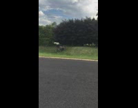 Guy rides bicycle up grass hill fail 
