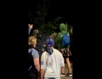 People watching racoons scavenging at central park