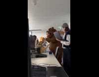 Sam the dog doesnt want to leave gruffalos side 