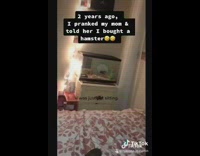 Mom afraid of pet hamster in room