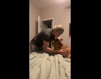 Guy plays with corgi puppy on bed