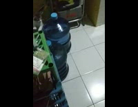 2 kittens plays on water gallons 