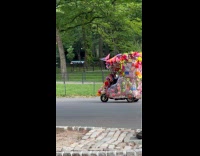 Collab WINY - Tricycle covered with flowers and decorations park