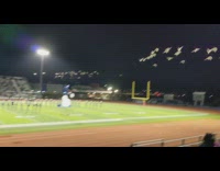 Flock geese flew over pooped on band