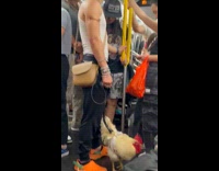 Man with pet chicken on leash on subway
