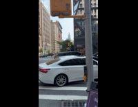 Dog enjoys car ride paws on window