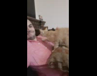 Orange cat nails pull on guy shirt