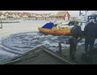 Humpback whale stuck under the boat at the harbor