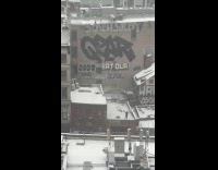 Man throw snowball on rooftop then celebrate