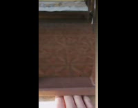 Cat tries to grab hand on wall 