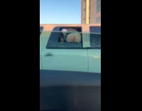 Guy on limousine shows butt on window
