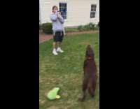 Guy blows horn dog howls