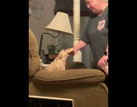 Woman fighting with her dog over a baguette in her mouth