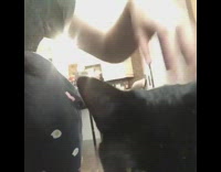 Girl hovers hand cat walks under