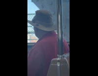 Collab WINY - Lantern fly hitches train through man hat