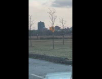 Man with orange paraglide parachute at park