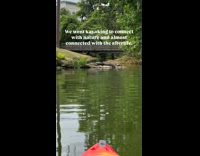 Women kayaking sees crocodile nearby
