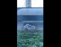 Collab WINY - Baby seagull bath in bowl of water