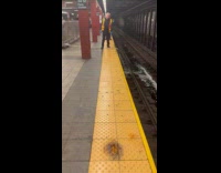 Collab Subway_Creatures - Water from hose leaks at the railway