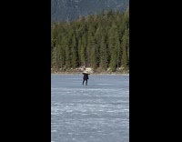 Guy black coat dance middle frozen lake