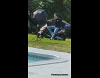 dog watches backyard photoshoot