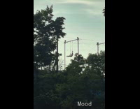 Person swinging on high poles