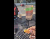 Collab BitchMP - Guy accidentally hurts seagull with jalapeno popper