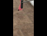 Guy hits spider on broom explodes with babies 