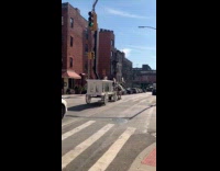 Horses pull white carriage on the street