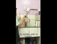 Collab BitchIG2 - Dog clapping with groomers