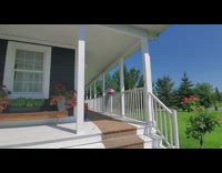 Pink umbrella protect bird nest from sunlight