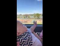 Collab BitchMP - Baby gets startled by truck 