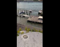 Man rides electric onewheel while walking dogs