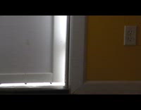 Orange cat sticks paw through door crack 