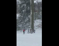 People doing interpretive dance for camera in snow covered park