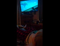 Young boy watch daily dose video laughs