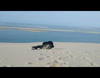 Pet dog rescues owner on a roll at the desert Part 2