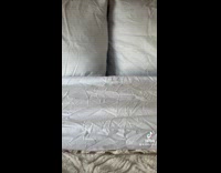 Collab Clips MPUGC - Cat hiding underneath blanket 