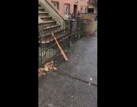 Brown bat leans against black gate sidewalk 