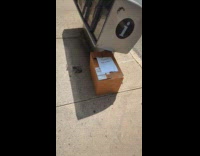 Box on sidewalk with note bat inside