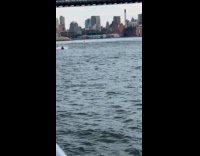 Man joker costume ride jet ski on river