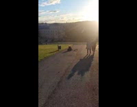 Man with bushy hair falls from small bike 