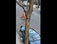 orange dinosaur costume runs down neighborhood street 