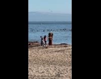 Person in skulls costume poses at beach